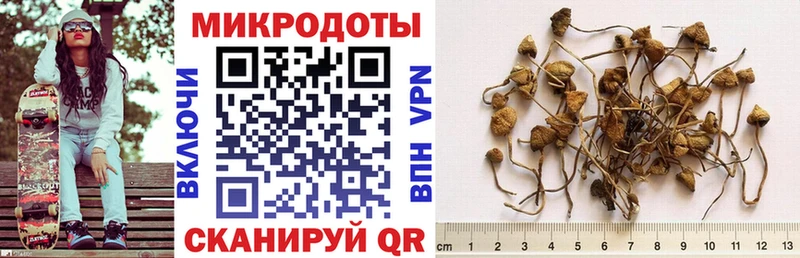 Купить где  Сорочинск  Галлюциногенные грибы Psilocybe 