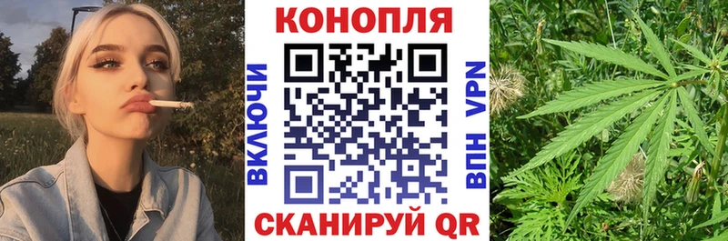Купить где  Сорочинск  Канабис конопля 
